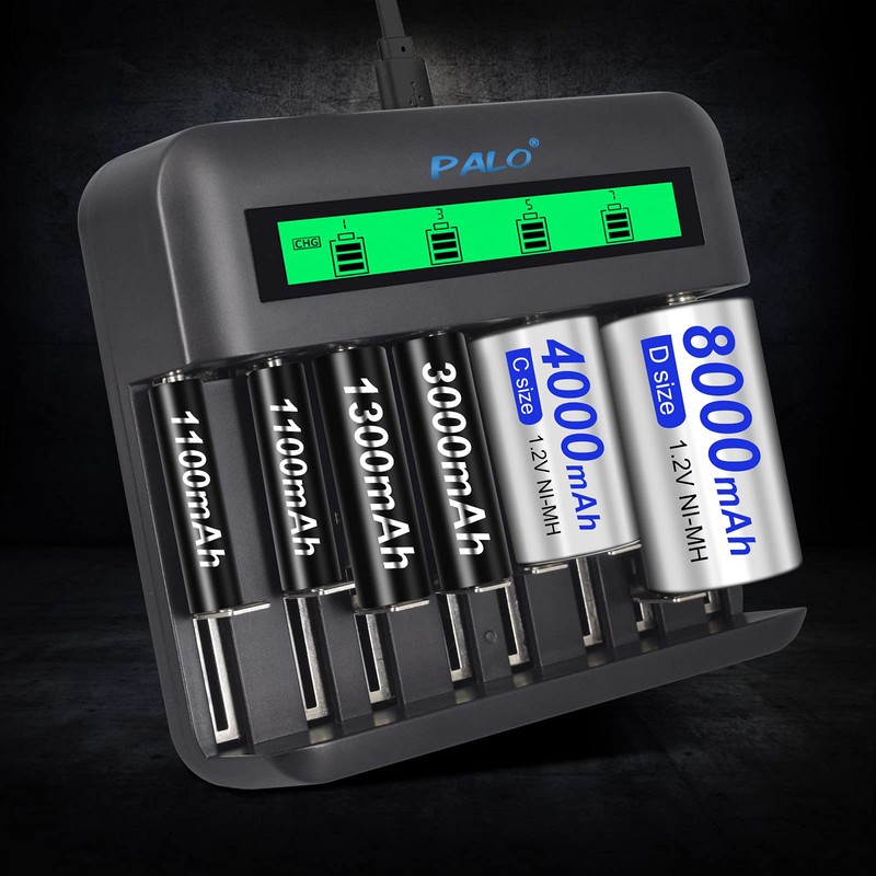 Tenberly AA AAA C D Universal Battery Charger with 4