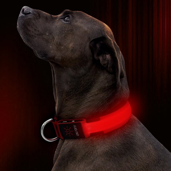 Illumifun LED Dog Collar, Adjustable USB Rechargeable Glowing Pet Safety