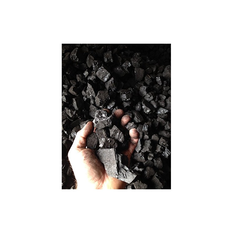 Bituminous Coal 50lbs