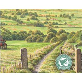Taylors of Harrogate Yorkshire Tea, 656g