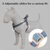 Plutus Pet Cotton Hemp Step in Dog Harness, Sustainable, Lightweight