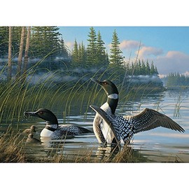 Cobble Hill Common Loons, A 1000 Piece Jigsaw Puzzle