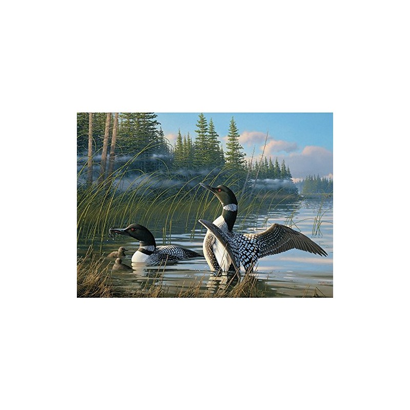 Cobble Hill Common Loons, A 1000 Piece Jigsaw Puzzle