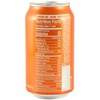 AmishTastes Frannie’s Blood Orange Bliss Sparkling Beverage, Protected With High-Density