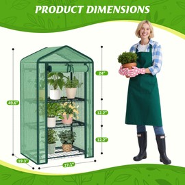 AlisisFores 3-Tier Greenhouse for Indoor and Outdoor Use, 4ft Tall Portable Mini Green House with Shelves, Zipper Door & PE Cover, for Seed Starting, Plants, Herbs, Balcony, Patio Gardening