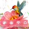 Happivue Pop Up Birthday Cards, Hummingbird Flowers Happy Birthday Card