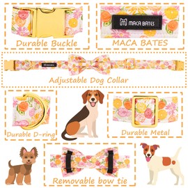 Maca Bates Flower Dog Collar with Bow Bowtie for Dogs Bows Tie Spring Flowers Adjustable Breakaway Collars Accessories Birthday Gift for Small Medium Large XL Girl Boy Puppy Pets