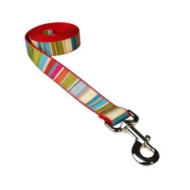 Sassy Dog Wear Dog Leash