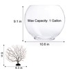 Okllen Mini Glass Fish Bowl, Oblate Small Fish Tank with