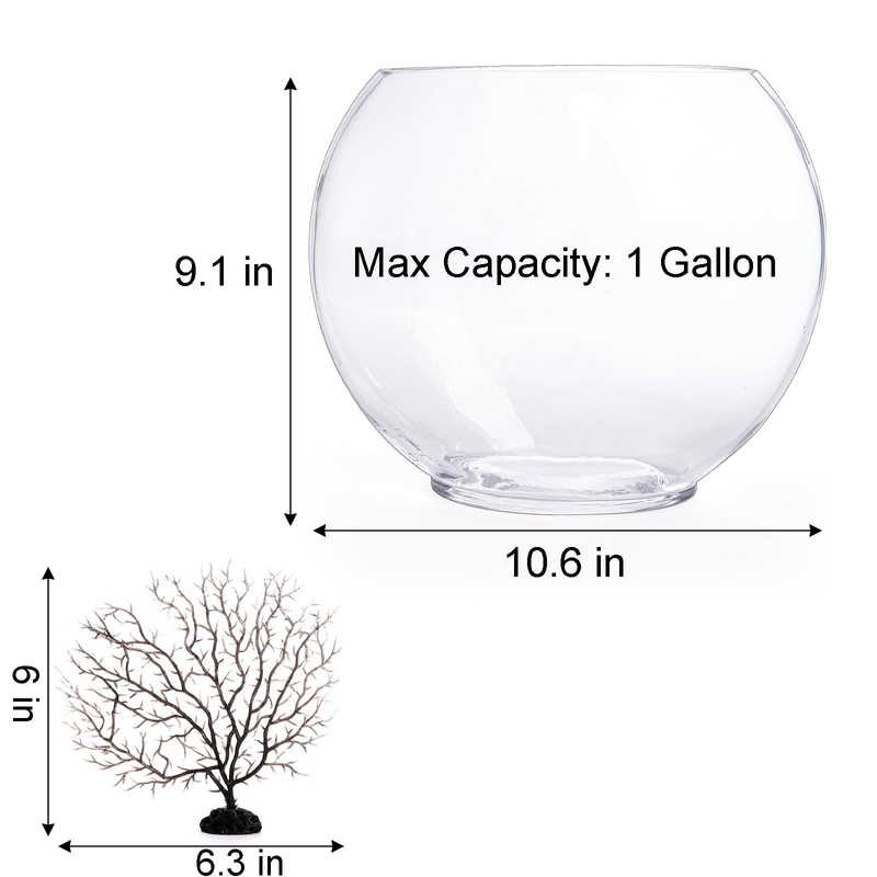 Okllen Mini Glass Fish Bowl, Oblate Small Fish Tank with