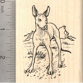 Xolo Dog Rubber Stamp, Mexican Hairless, Xoloitzcuintli