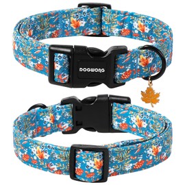 DOGWONG Fall Maple Dog Collar- Cute Classic Fall Autumn Flower Dog Collars Adjustable Fall Dog Collar for Small Medium Large Dogs M