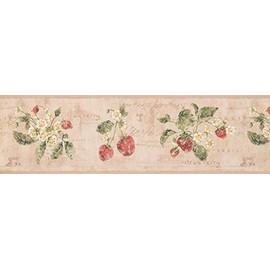 Vintage White Flowers Strawberry RY3288B Wallpaper Border