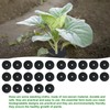 Clydewy 25pcs Cabbage Plant Collars for Plants Slug Deterrent 5.9