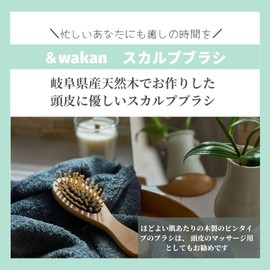 &wakan Scalp Brush, Scalp Brush, Hair Brush, Scalp Massage, Glossy Hair, Improve Hair Quality, Beautiful Hair, Static Removal, Gift