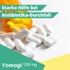 Yomogi - Diarrhoea Treatment and Prevention - Pack of 100