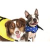 Seachoice Dog Life Vest, Adjustable Life Jacket for Dogs, w/Grab