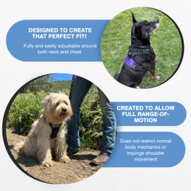 The North Star Dog Harness™ - Comfortable, Fully Adjustable, Designed to Reduce Pulling, Escape Resistant, Durable, fastens Easily and securely. (Purple, Large)