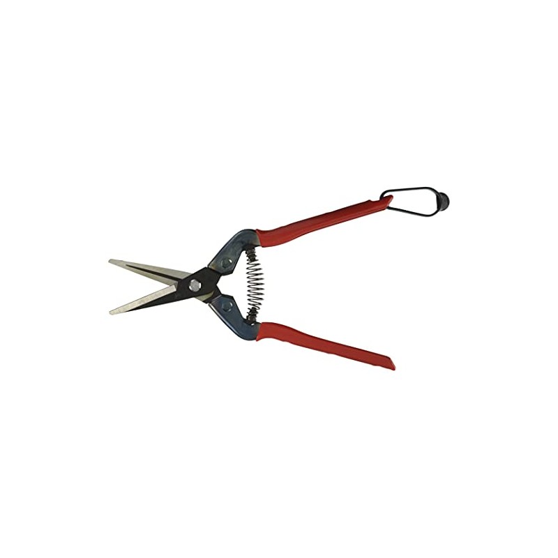 Chikamasa Bud Cutting Shears T-55CH