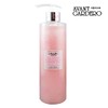 Avant-garde Esthe Aloeca Cleansing Gel Foam 300ml 2pcs/Enprani / 에스테 알로에카 클렌징 젤 폼 300ml 2개/엔프라니
