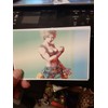 Bloody Roar Postcards (Matte Paper)