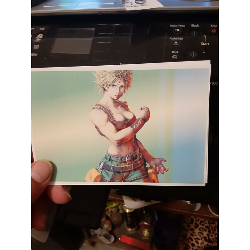 Bloody Roar Postcards (Matte Paper)
