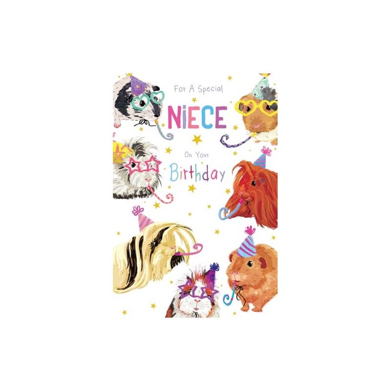 Niece Birthday Card Guinea Pigs 9" x 6" Lovely Verse