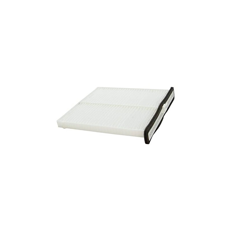 Ecogard XC10189 Filtro de aire de cabina premium para coche