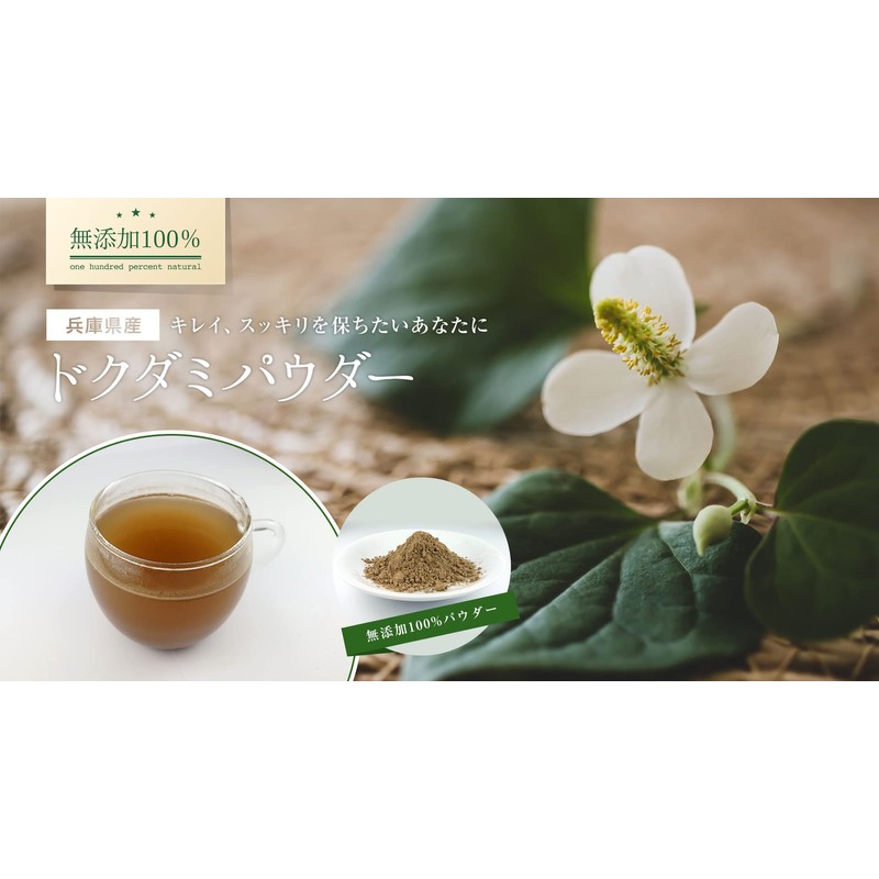 健康・野草茶センター ドクダミ茶 健康茶 国産 無添加 茶葉100％ 粉末 パウダー 100g