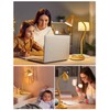 BOHON LED Desk Lamp with USB Charging Port, 3 Color