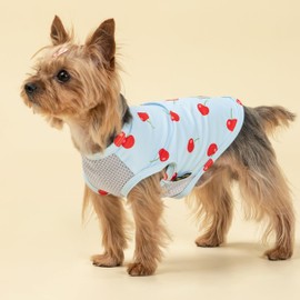 Fitwarm 2 Pack Ice Cream & Cherry UPF 50+ UV Sun Protection Dog Shirt, Lightweight Cooling Vest, Quick Dry Summer Clothes for Small Dogs Girl, Pet Outfit, Pink, Light Sky Blue, Small