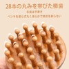 Disc Massage Comb, Scalp Massage, Meridian Communication, Anti-static, Surface Design,