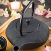 Tetsubin 34 Ounce Cast Iron Teapot, 1 With Strainer Iron