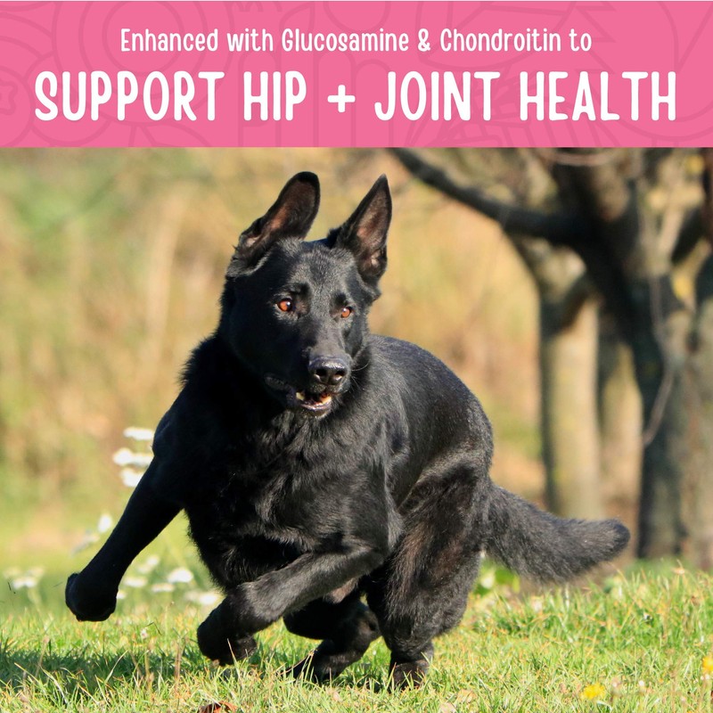 Full Moon Chicken Jerky Healthy All Natural Dog Treats Human