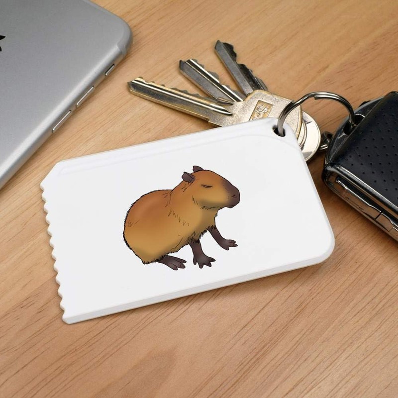 'Sleepy Capybara' Plastic Ice Scraper (IC00036342)