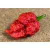 The Beast Red (Naga Brains x Carolina Reaper Cross) Ultrahot Pepper Premium Seed Packet