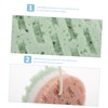 IWOWHERO Shower Exfoliating Bath Sponge Set 3 Colors Body Net