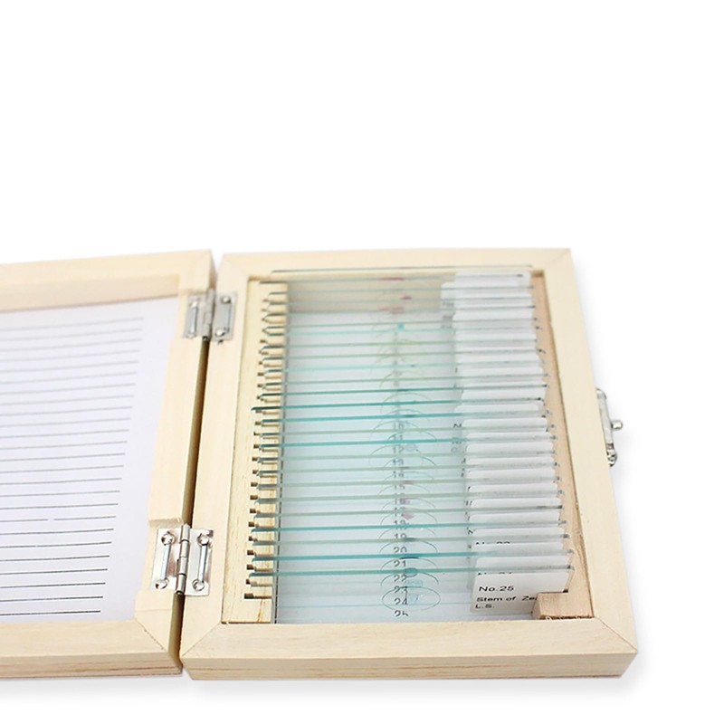25 Slides with Samples, Prepared Slides, Prepared Microscope Sample Slides,