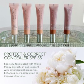 Protect and Correct Concealer SPF 35 - Color: MEDIUM