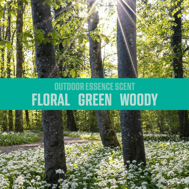 Ozium Air Sanitizer & Odor Eliminator for Homes, Cars, Offices