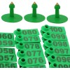 100 Aretes Para Cerdo Cabra Ganado Numeros Láser Con Pinza