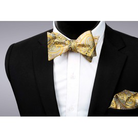Alizeal Mens Gradient Paisley Self Bow Tie and Hanky Set, Yellow