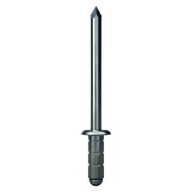 GESIPA 50 x steel blind rivets, diameter 4.8 x 15.0 mm, PolyGrip, rivetable material thickness: 6.0-11.0 mm, rivets in industrial quality, buy hollow rivets from the professionals of blind rivet technology