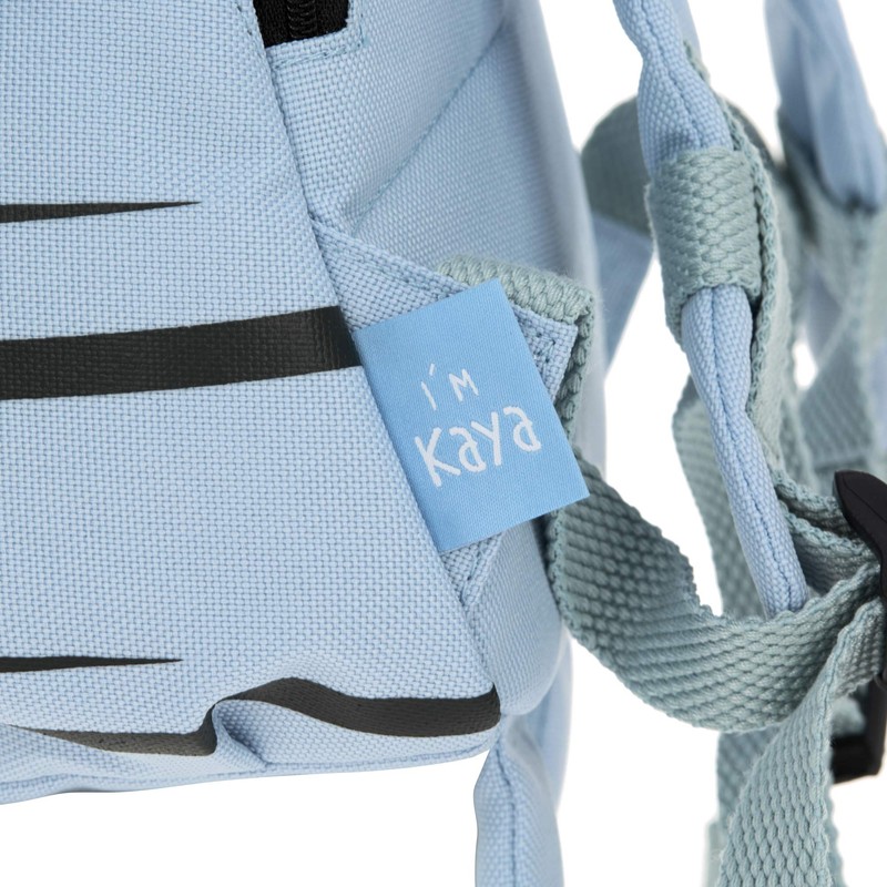 LÄSSIG Children's Kindergarten Rucksack with Chest Strap, for Ages 3+,