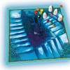 La Escalera Encantada en Español, Juego de Mesa, Devir