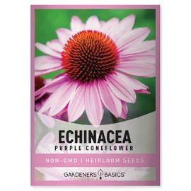 Purple Coneflower Seeds Echinacea Seeds for Planting - Non-GMO, Open Pollinated Beautiful Echinacea Plant Seeds Great for Herbal Tea Gardens and Medicinal Herbs by Gardeners Basics