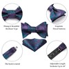 HISDERN Men's Bow Ties Paisley Bow Ties Self-tied Bowtie and