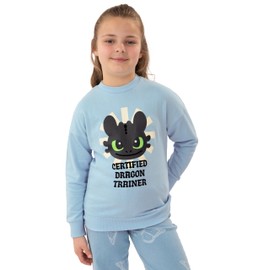 How To Train Your Dragon Girls Sweatshirt, Toothless Girls Jumper, Kids Sweatshirt For Spring, Cotton Jumper, Blue 8-9 Years