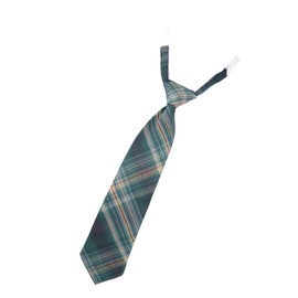 Classe School Necktie, Students, Uniform, Girls' High School Girls, Junior High School Students, Events, All Year, Commute to School, Solid Color, Uniform, green a
