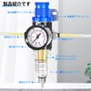 TAILONZ PNEUMATIC PNEUMATIC AIR PRESSURE 5-IN-1/4" BSP AR2000 MINI PRESSURE